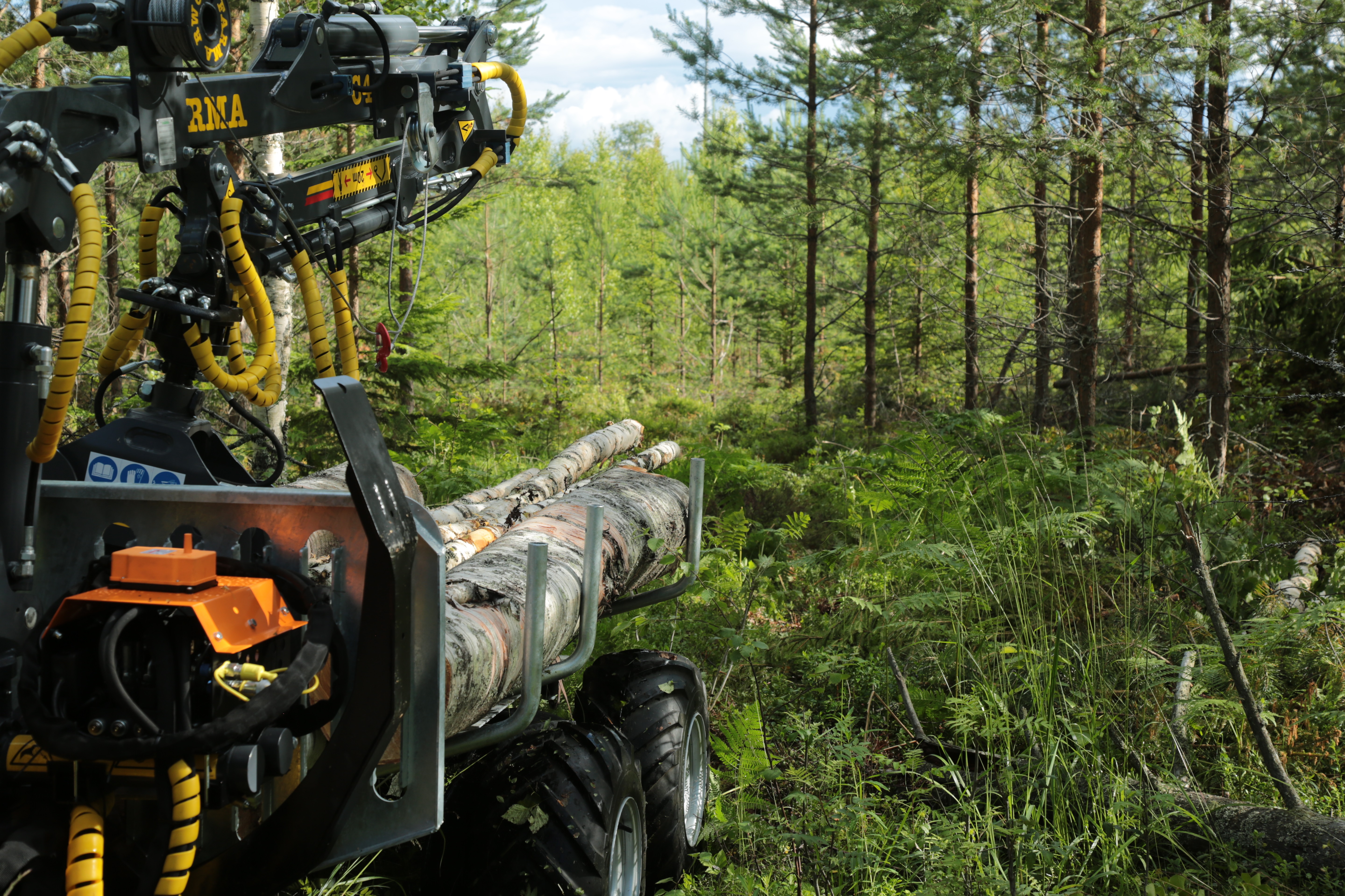 Logbullet — Side to Rear View