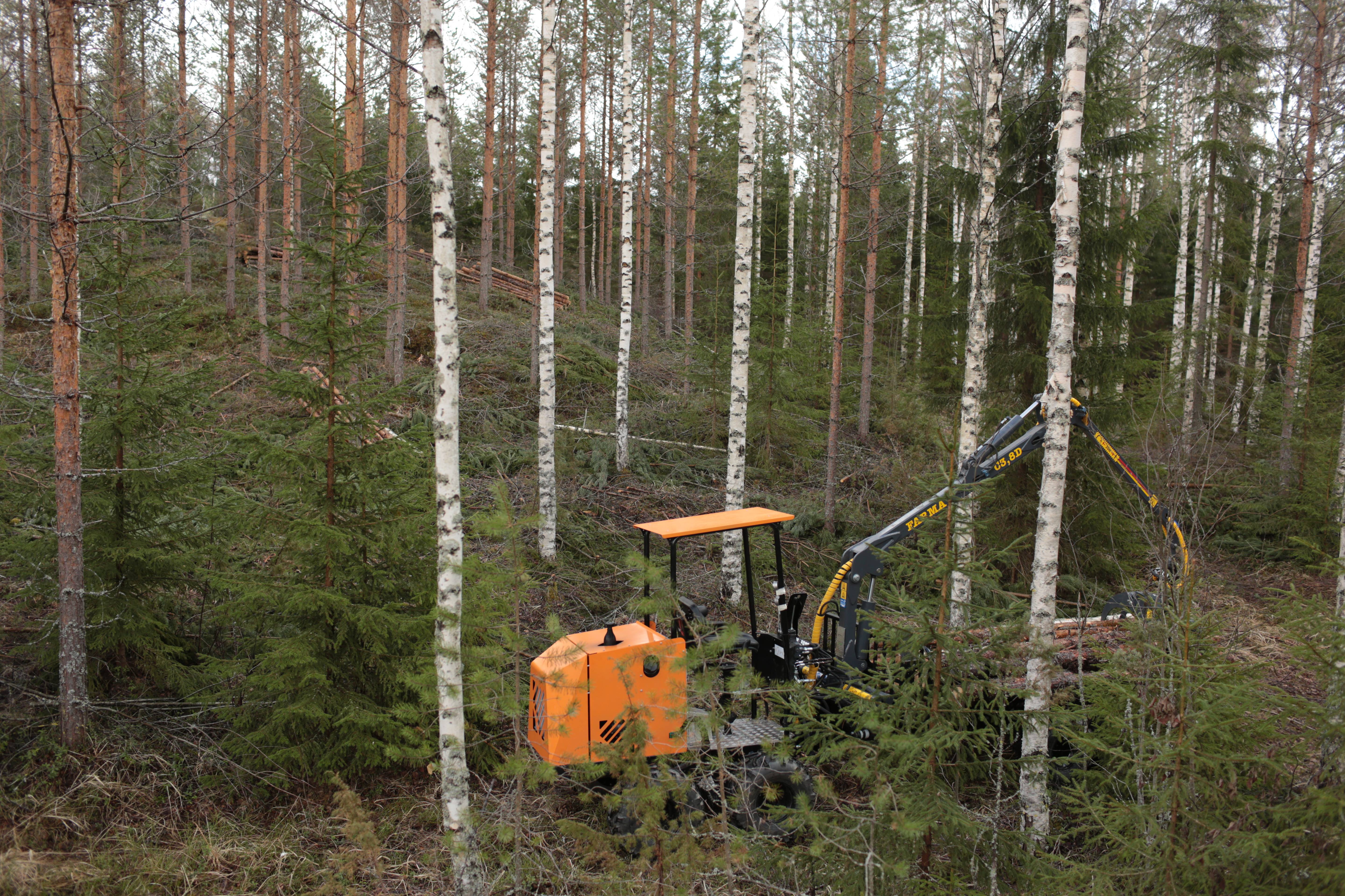 Logbullet — In Terrain